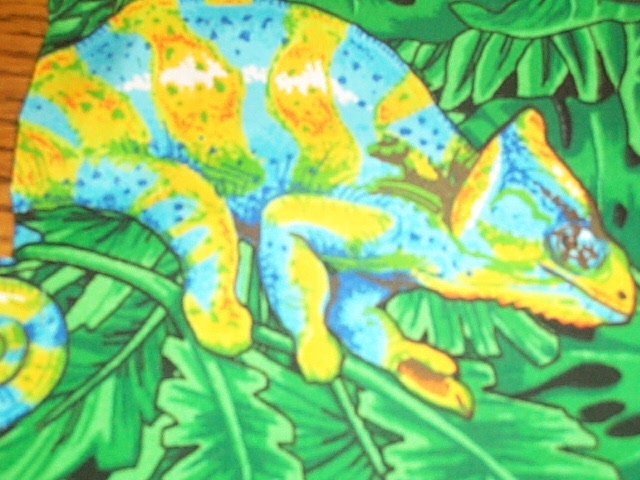 blue, green, and yellow cham