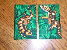 leo light cover, and tiger salamander light cover