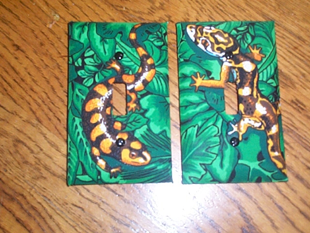 leo light cover, and tiger salamander light cover