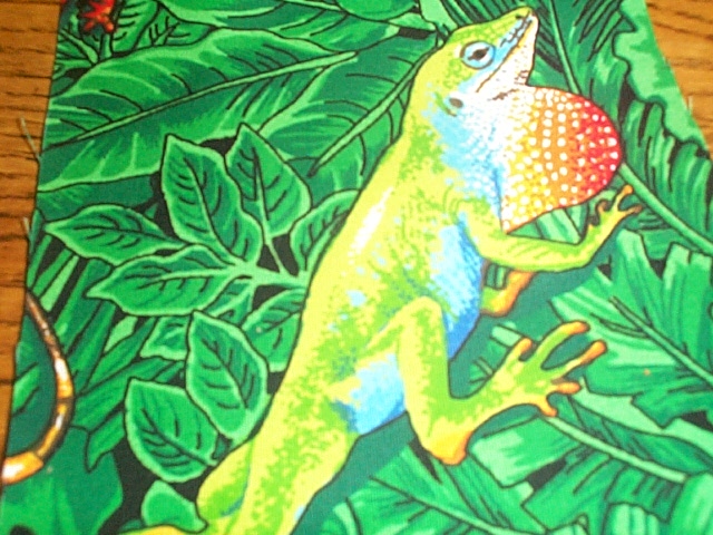 male green anole