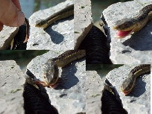 eating from my hand
