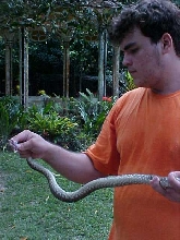 I and my bothrops atrox