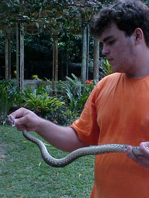 I and my bothrops atrox