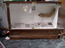 Ball Python's cage