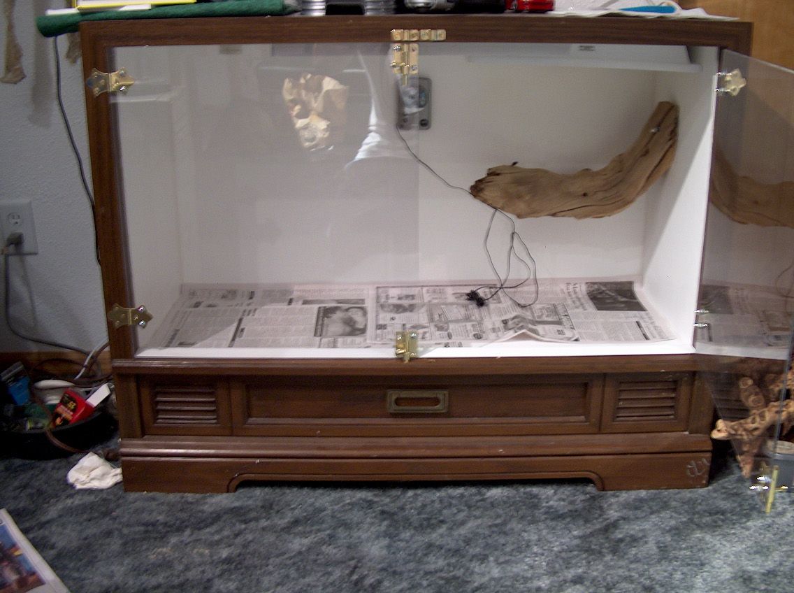 Ball Python's cage