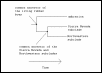 Rubber boa evolutionary history