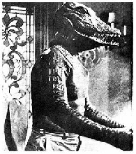 Andrew the Human Aligator