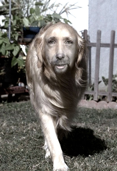 my dog