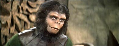 ape at the zoo