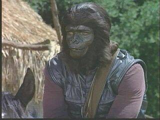 Gorilla