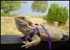 Teo on vacation