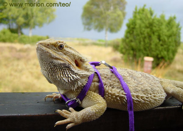 Teo on vacation