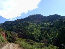 Tarahumara road