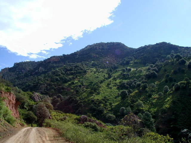 Tarahumara road