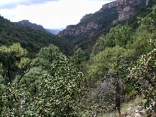 Sierra Tarahumara