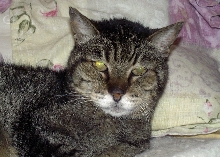 smokey @ 20 yr old
