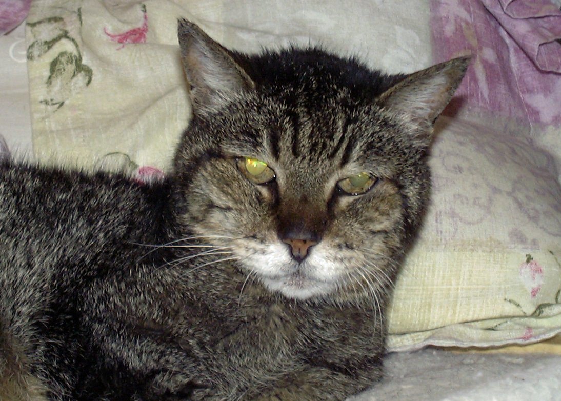 smokey @ 20 yr old