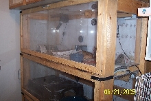 cage 1
