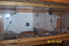 cage 3