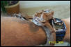 Hypo on my hand