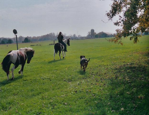 Running running away