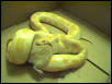 Monte Eating 2
