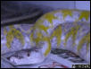 White Calico