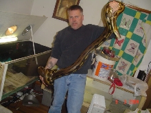 Tiger Retic
