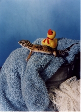Sheri4