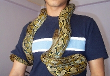 warm neck