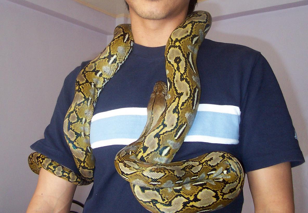 warm neck