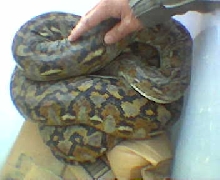 camera shy