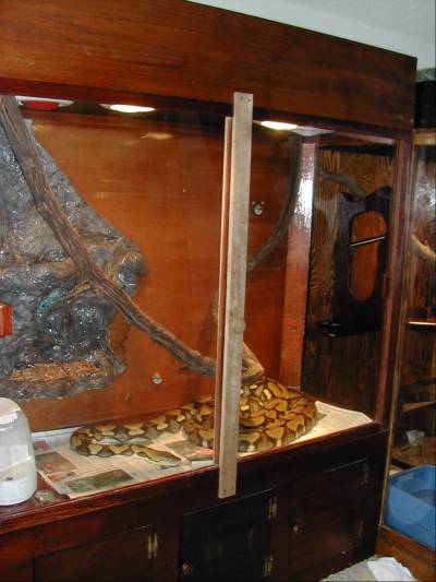 Retic Cage, Old section