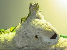 Spike and Lion