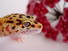 Female enjoying Spring!