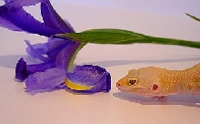 Spring!