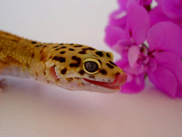 Yum!