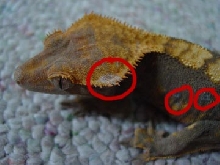What is this?