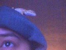 small_head02