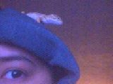 small_head03