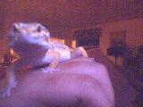 small_hand03