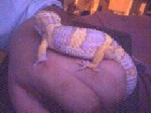 small_hand04