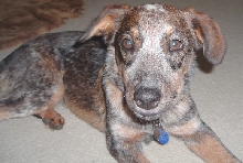 Bernadette at 6 months