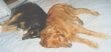 Kody and Grizzly