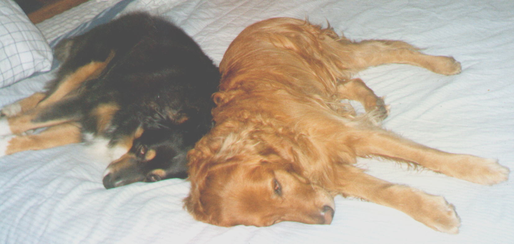 Kody and Grizzly