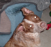 Is this my best side?