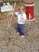 Little Snake Catcher