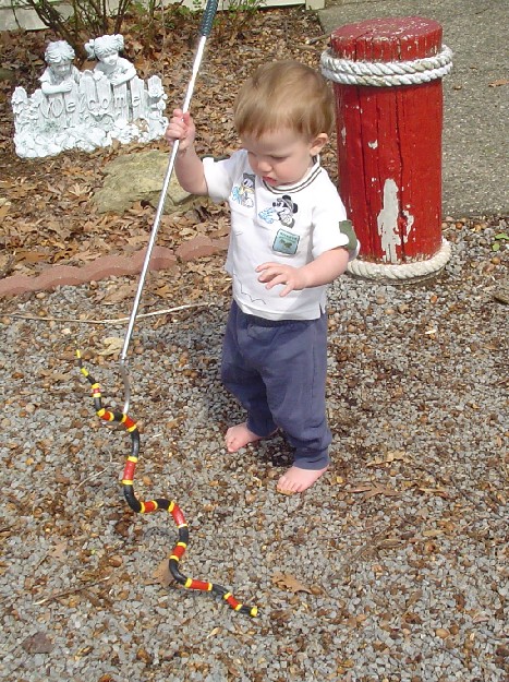 Little Snake Catcher