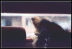 Waiting ..