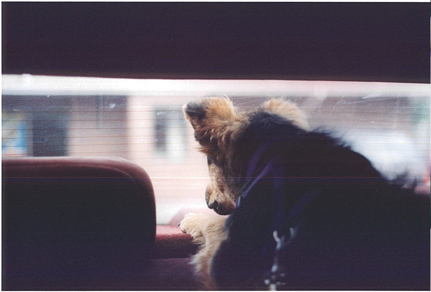 Waiting ..